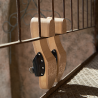 PESCURA IBIZA (F) Leather Black